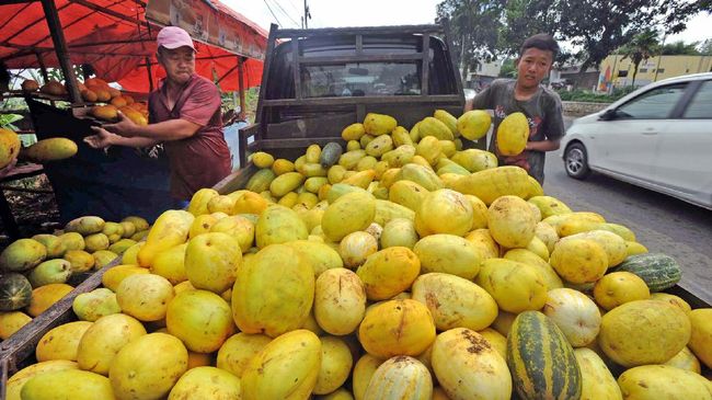 Detail Gambar Tanaman Buah Beluka Batu Nomer 44