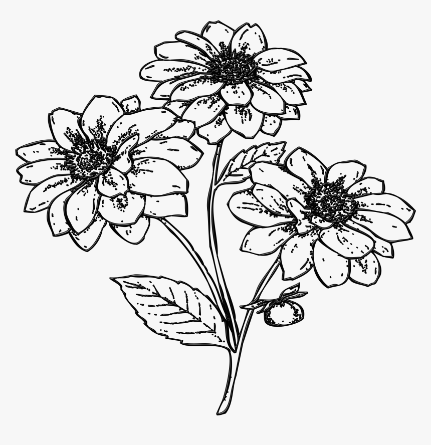Detail Gambar Tanaman Bunga Hitam Putih Nomer 9