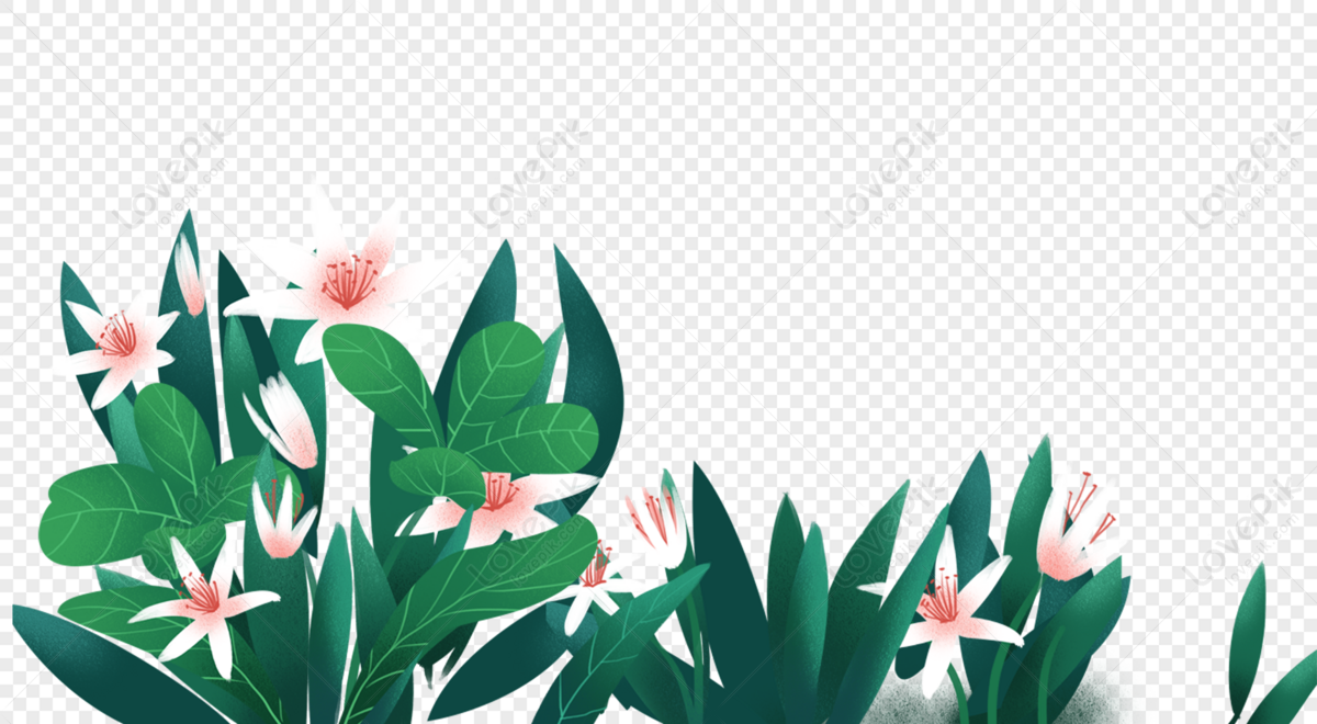 Detail Gambar Tanaman Bunga Png Nomer 16