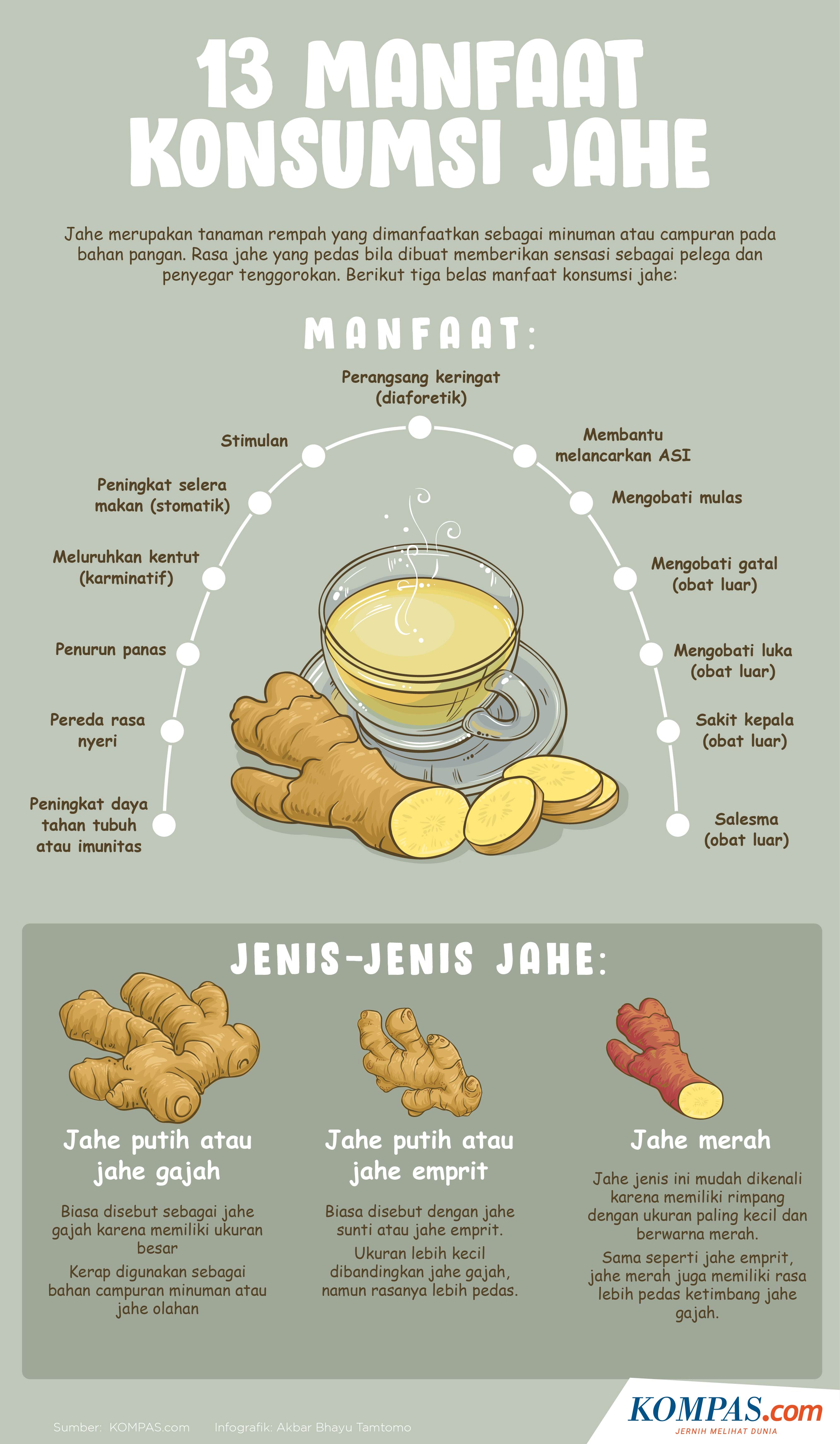 Detail Gambar Tanaman Jahe Dan Manfaatnya Nomer 4