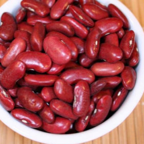 Detail Gambar Tanaman Kacang Merah Nomer 25