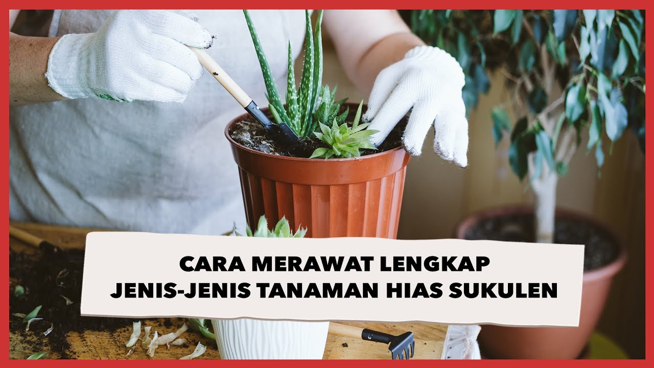 Detail Gambar Tanaman Lengkap Dan Tidak Lengkap Nomer 25