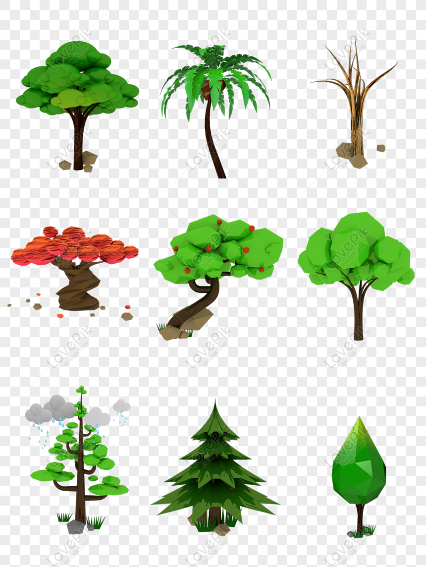 Detail Gambar Tanaman Pohon Nomer 35