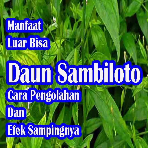 Detail Gambar Tanaman Sambiloto Dan Manfaatnya Nomer 31