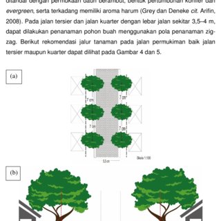 Detail Gambar Tanaman Tampak Atas Nomer 19