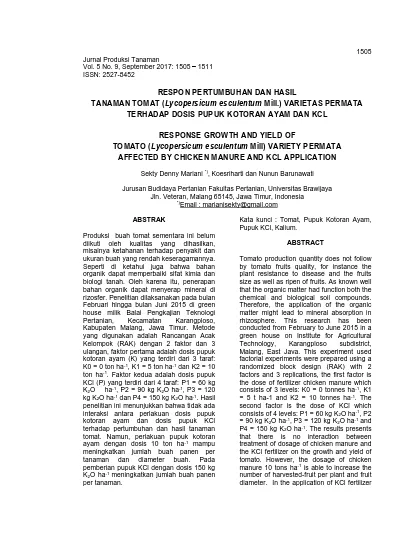 Detail Gambar Tanaman Tomat Over Dosis Nomer 51