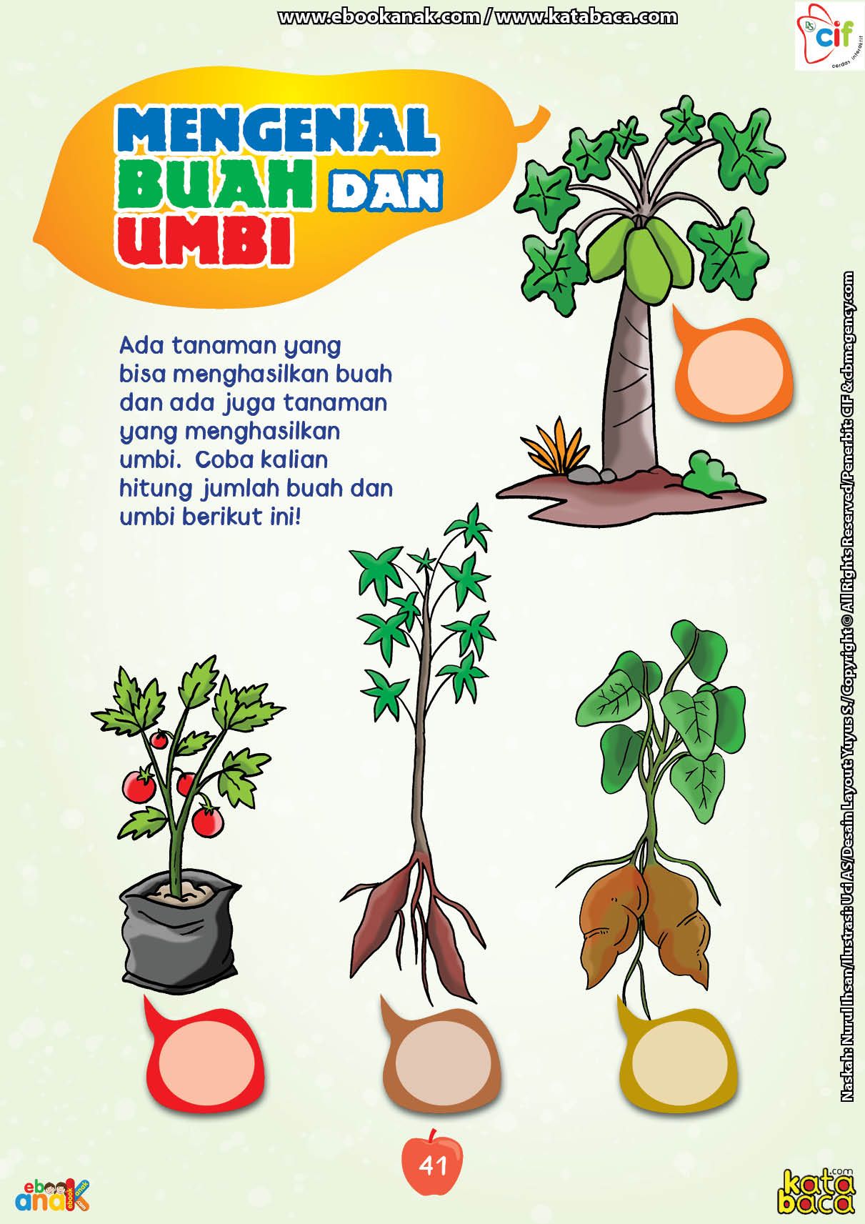 Detail Gambar Tanaman Umbi Umbian Nomer 50