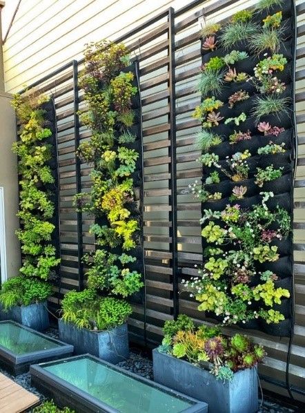 Detail Gambar Tanaman Vertical Garden Nomer 11