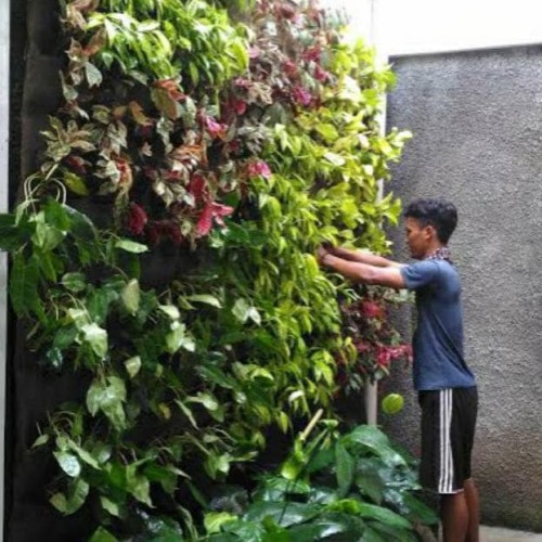 Detail Gambar Tanaman Vertical Garden Nomer 18