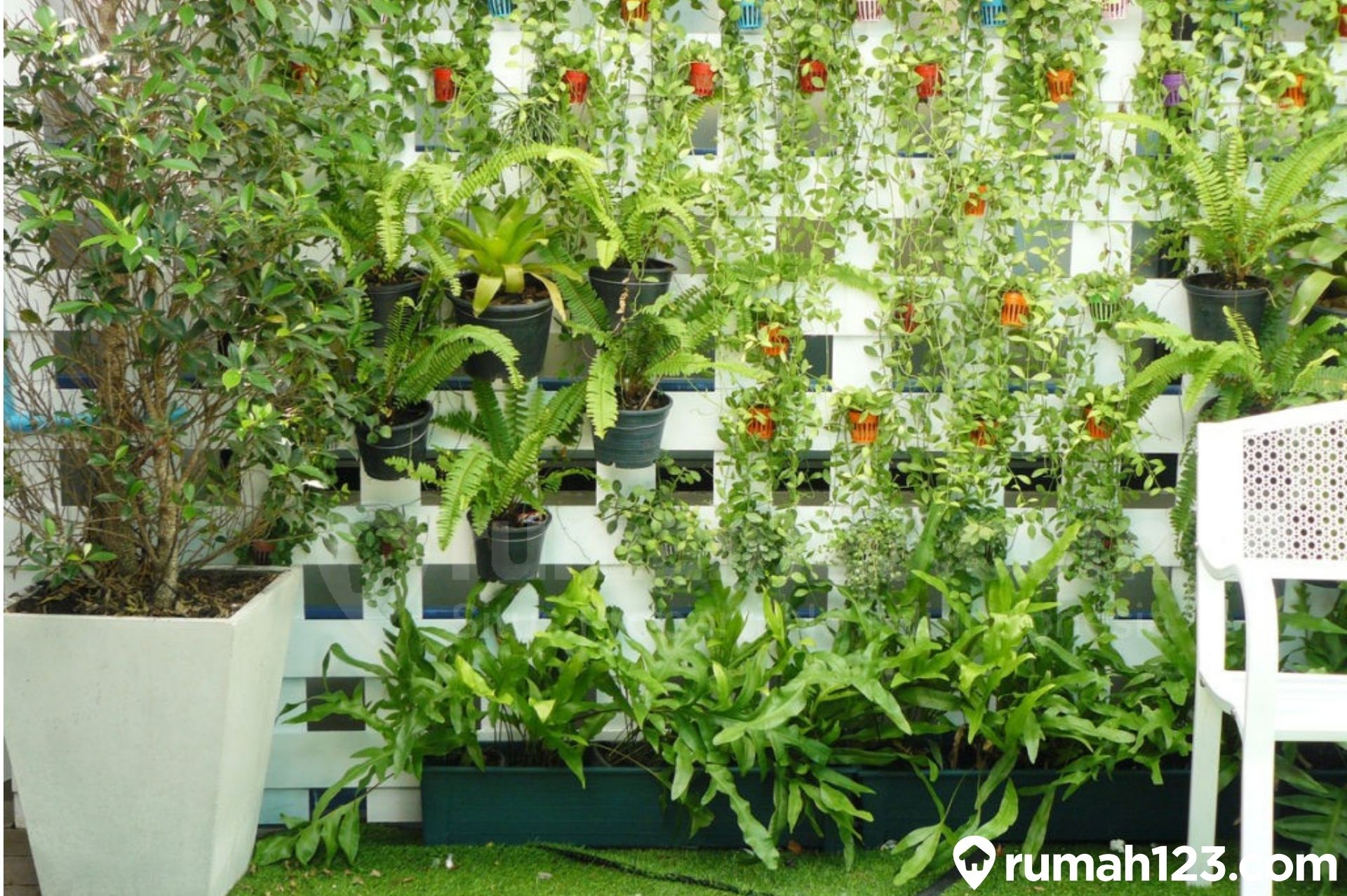 Detail Gambar Tanaman Vertical Garden Nomer 3