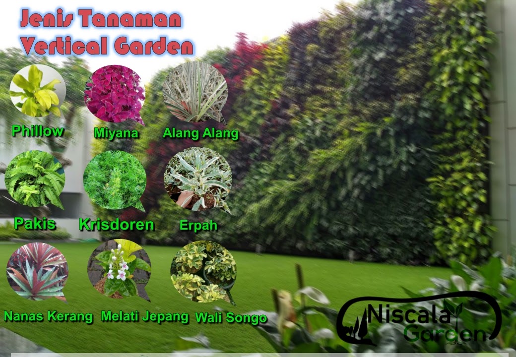 Detail Gambar Tanaman Vertical Garden Nomer 29