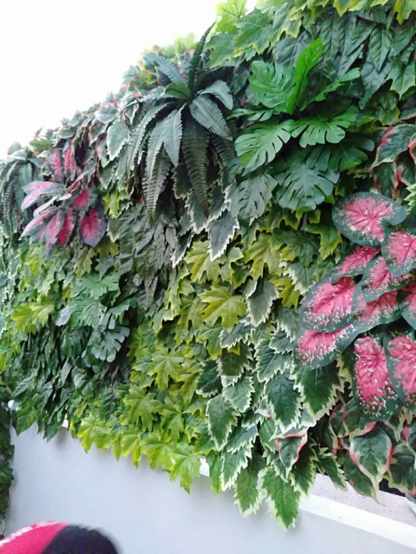 Detail Gambar Tanaman Vertical Garden Nomer 36