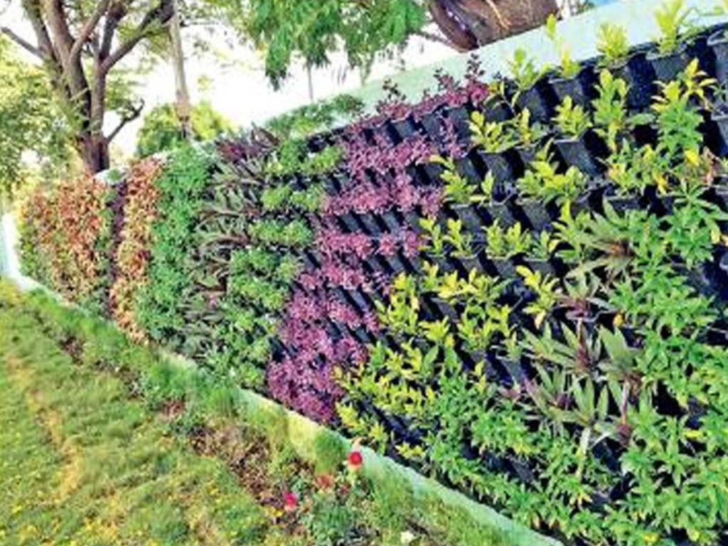 Detail Gambar Tanaman Vertical Garden Nomer 38