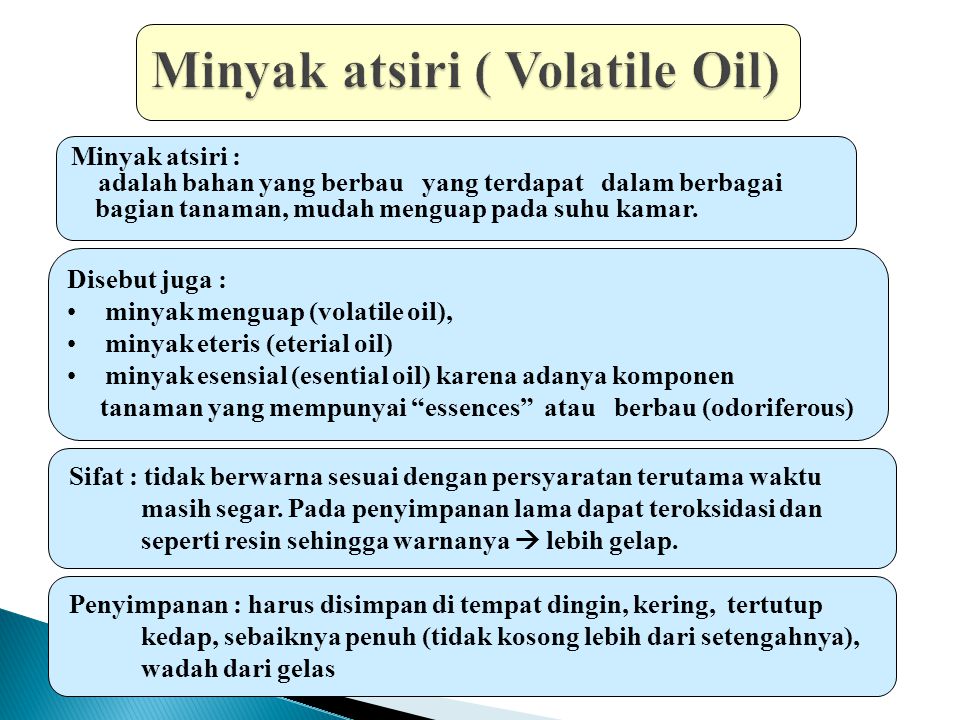 Detail Gambar Tanaman Yang Mengandung Minyak Atsiri Nomer 42