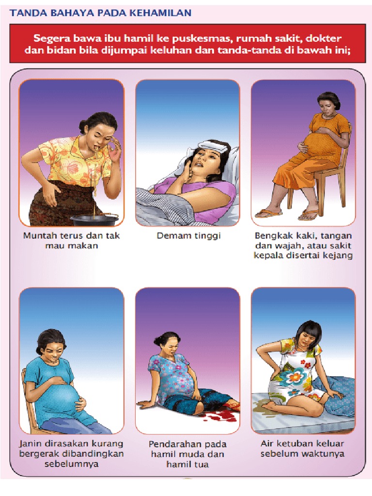 Detail Gambar Tanda Dan Bahaya Kehamilan Nomer 8