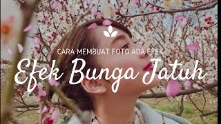 Detail Gambar Tangan Animasi Bunga Sakura Berguguran Nomer 46