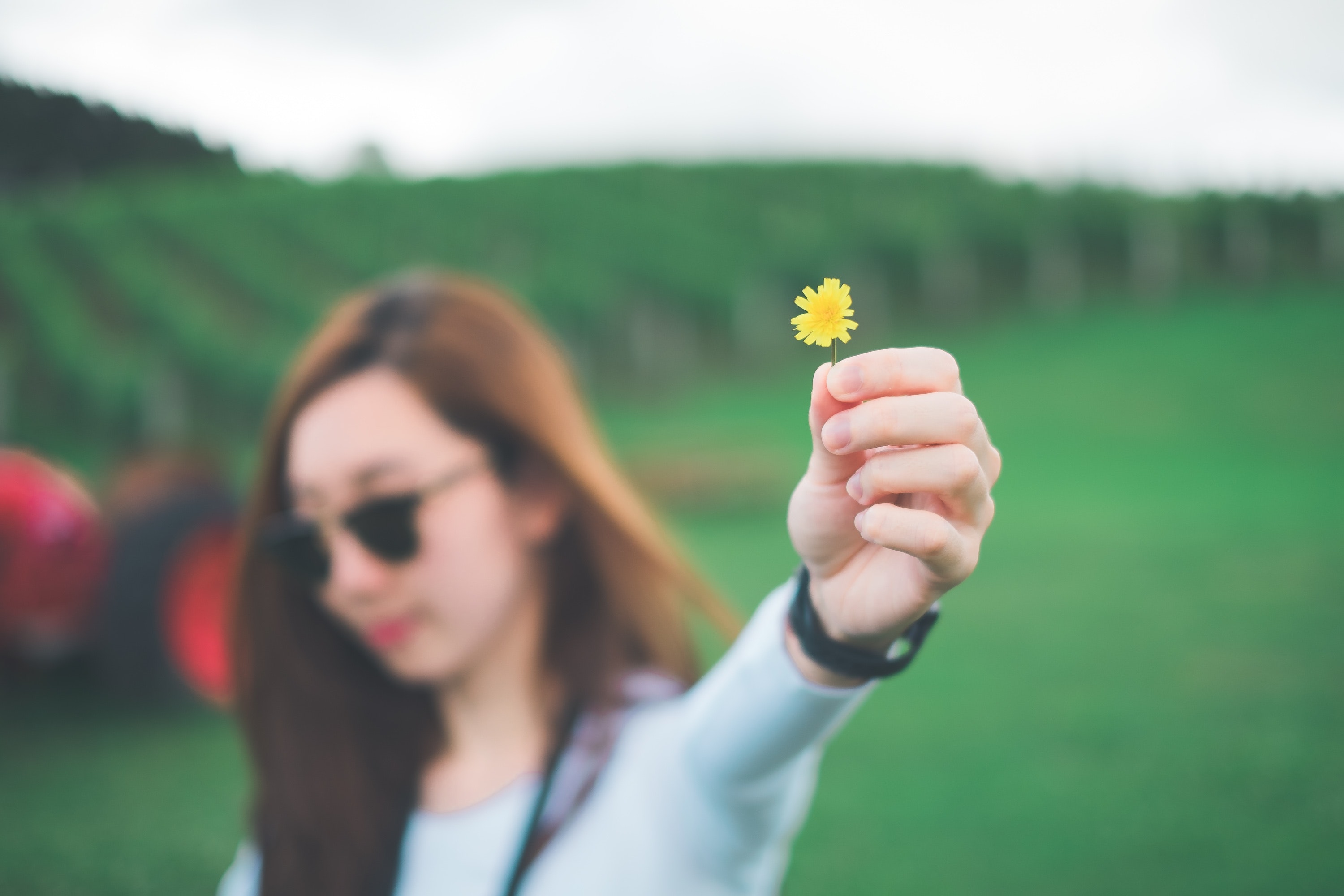 Detail Gambar Tangan Background Rumput Hijau Nomer 53