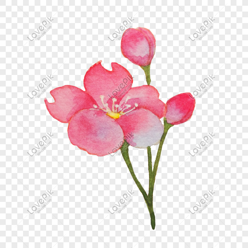 Detail Gambar Tangan Bunga Sakura Nomer 43