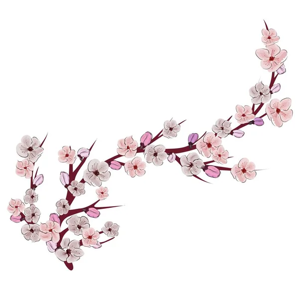 Detail Gambar Tangan Latar Bunga Sakura Resolusi Tinggi Nomer 21