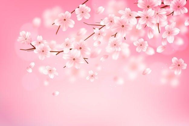 Detail Gambar Tangan Latar Bunga Sakura Resolusi Tinggi Nomer 6