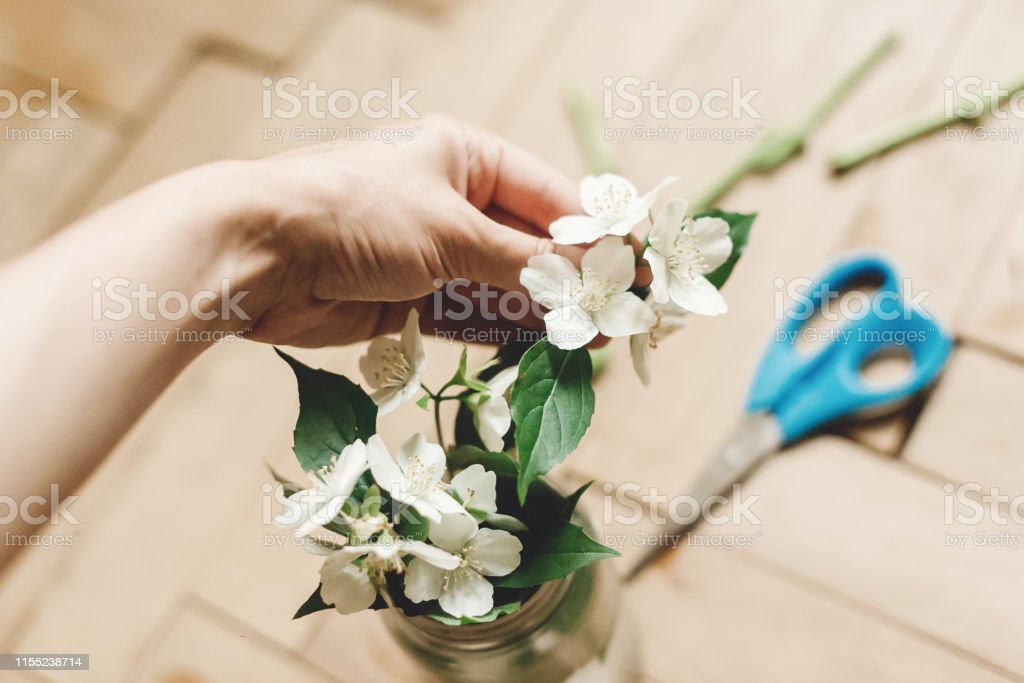 Detail Gambar Tangan Memegang Bunga Nomer 54