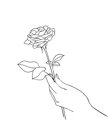 Detail Gambar Tangan Memegang Bunga Mawar Hitam Nomer 17