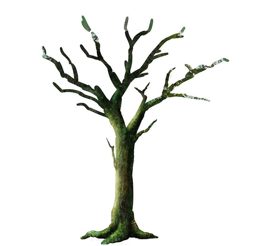 Detail Baum Gezeichnet Einfach Nomer 11