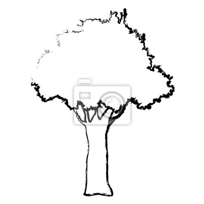 Detail Baum Gezeichnet Einfach Nomer 13