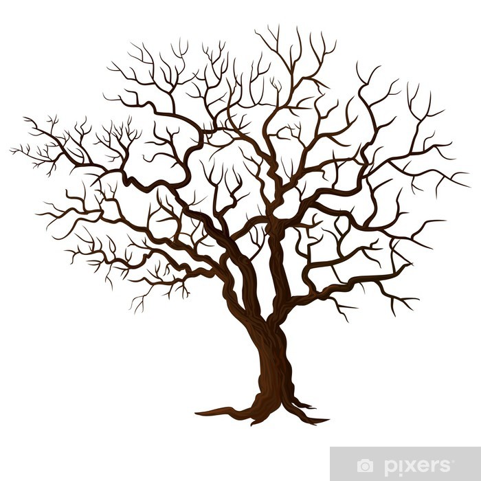 Detail Baum Gezeichnet Einfach Nomer 16