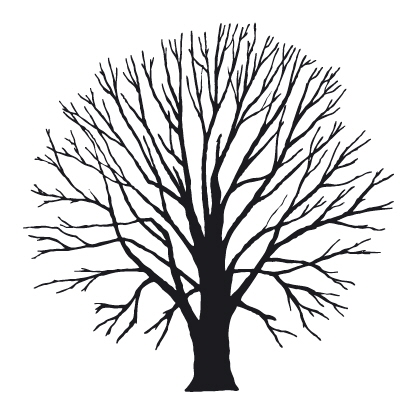Detail Baum Gezeichnet Einfach Nomer 17
