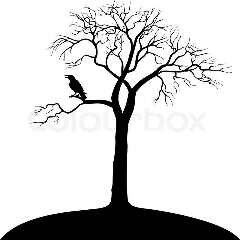 Detail Baum Gezeichnet Einfach Nomer 18