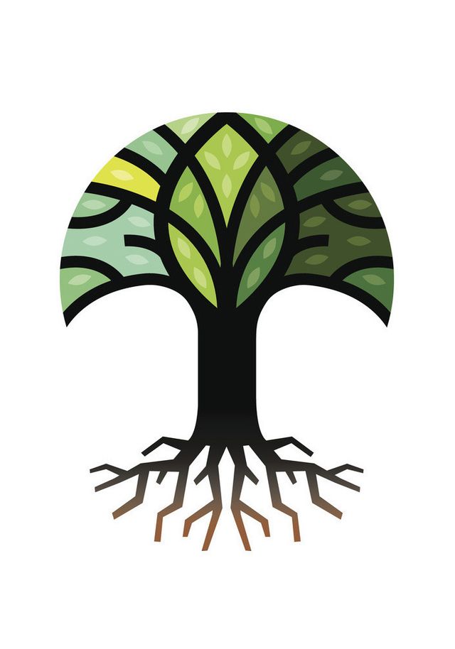Detail Baum Gezeichnet Einfach Nomer 22