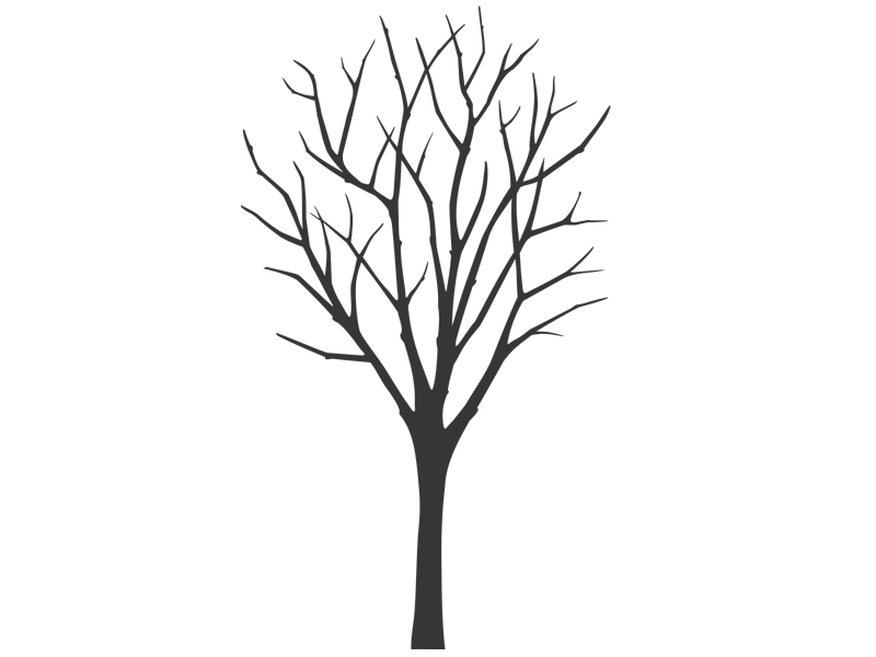 Detail Baum Gezeichnet Einfach Nomer 23