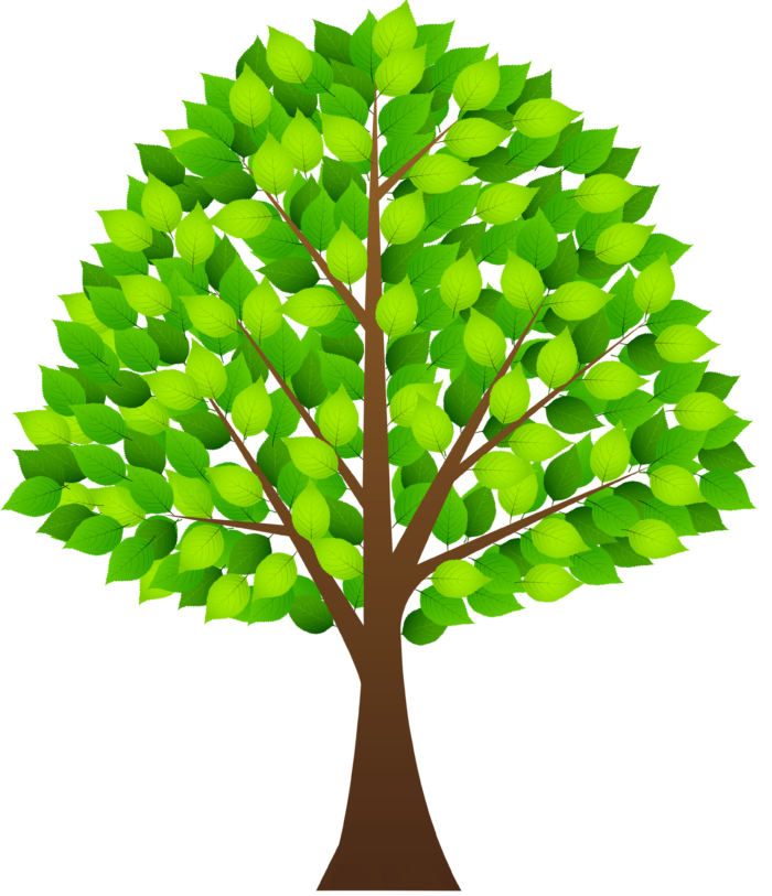 Detail Baum Gezeichnet Einfach Nomer 25