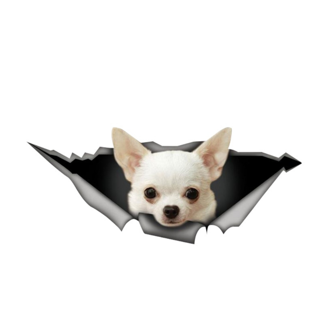 Detail Chihuahua Stofftier Mit Tasche Nomer 24