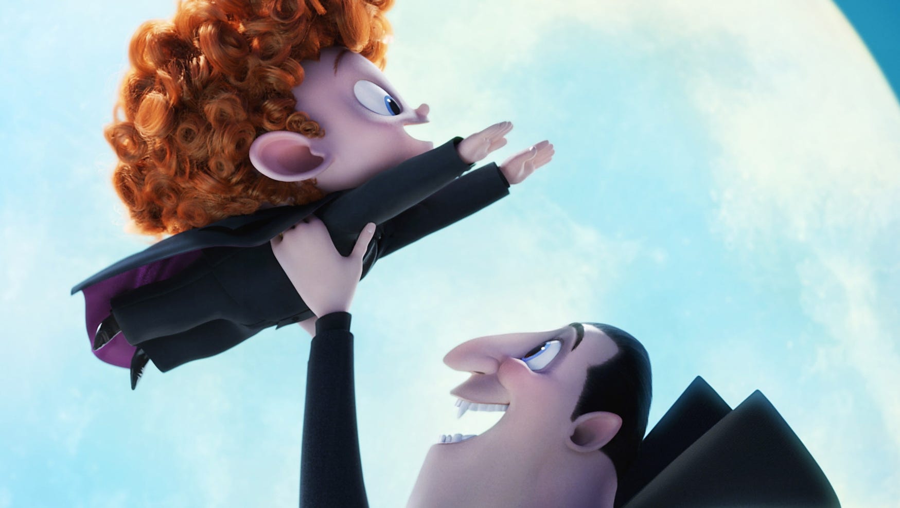 Detail Dennis Hotel Transylvania Nomer 34