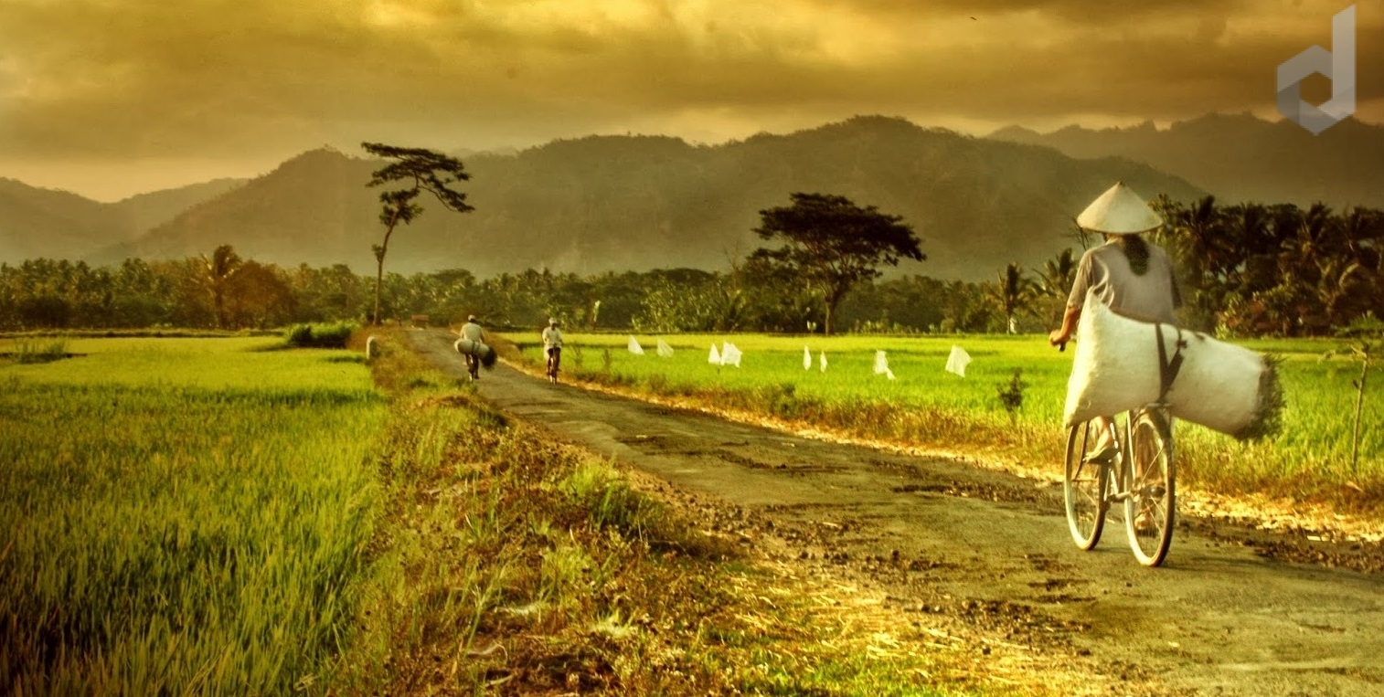 Detail Desa Background Nomer 13