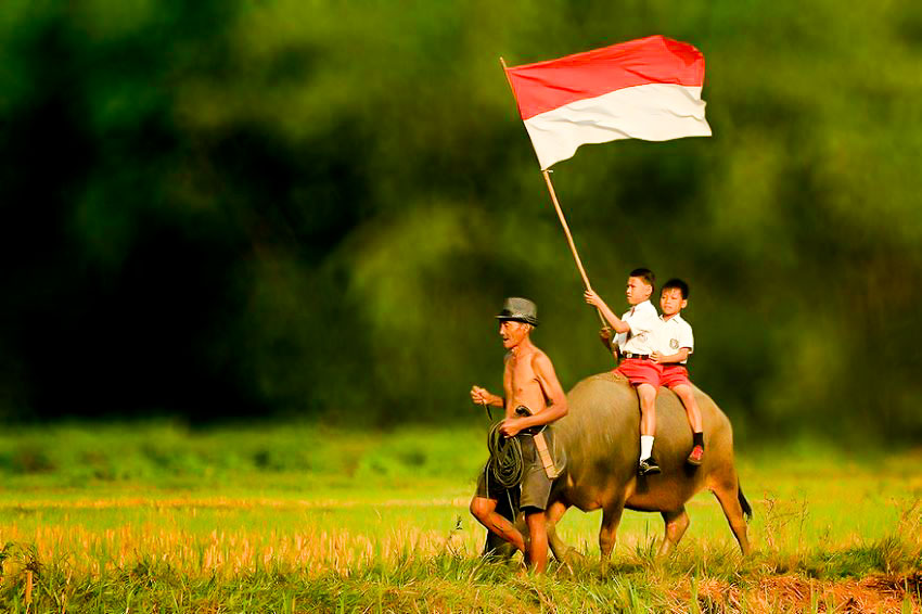 Detail Desa Background Nomer 21