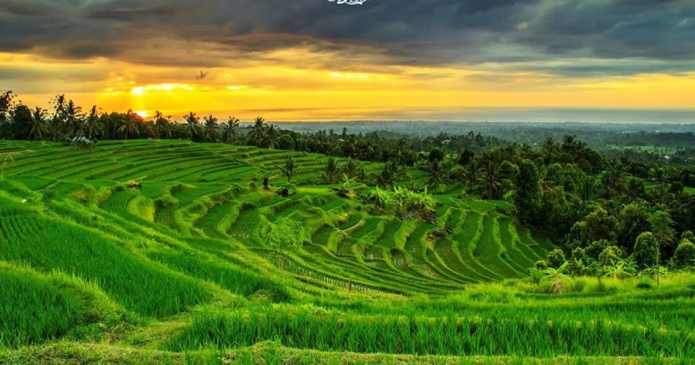 Detail Desa Background Nomer 7