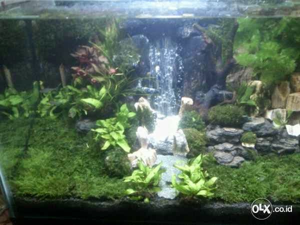 Detail Desain Air Terjun Aquascape Nomer 7