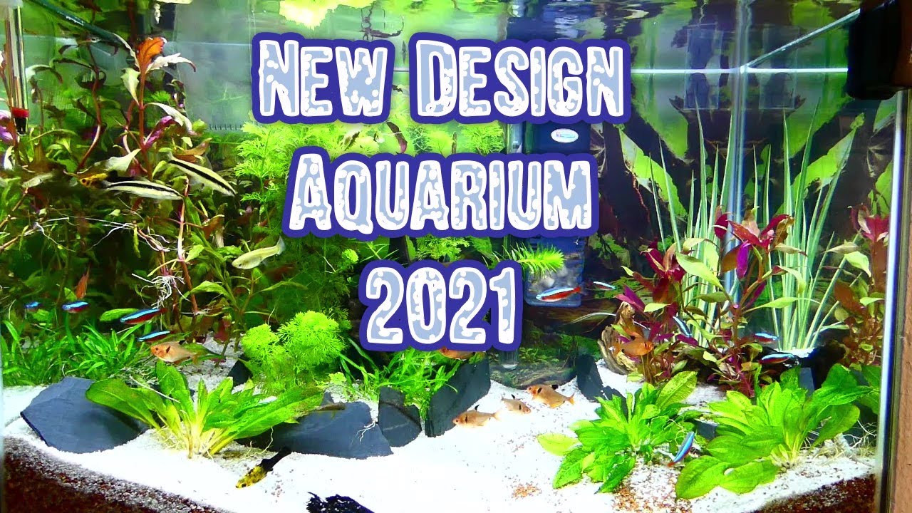 Detail Desain Aquarium Nomer 55