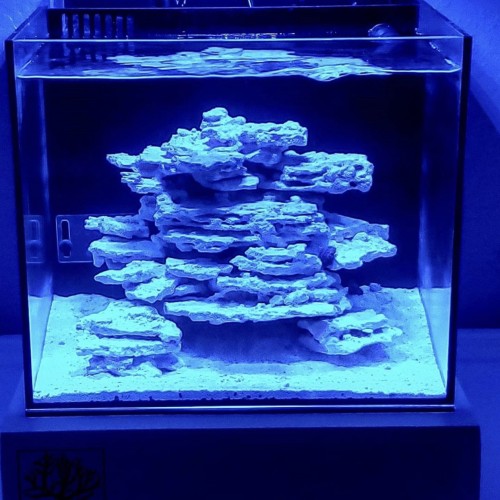 Detail Desain Aquarium Air Laut Nomer 53