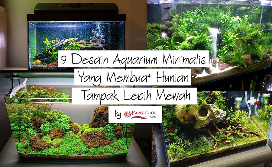 Detail Desain Aquarium Air Tawar Minimalis Nomer 14