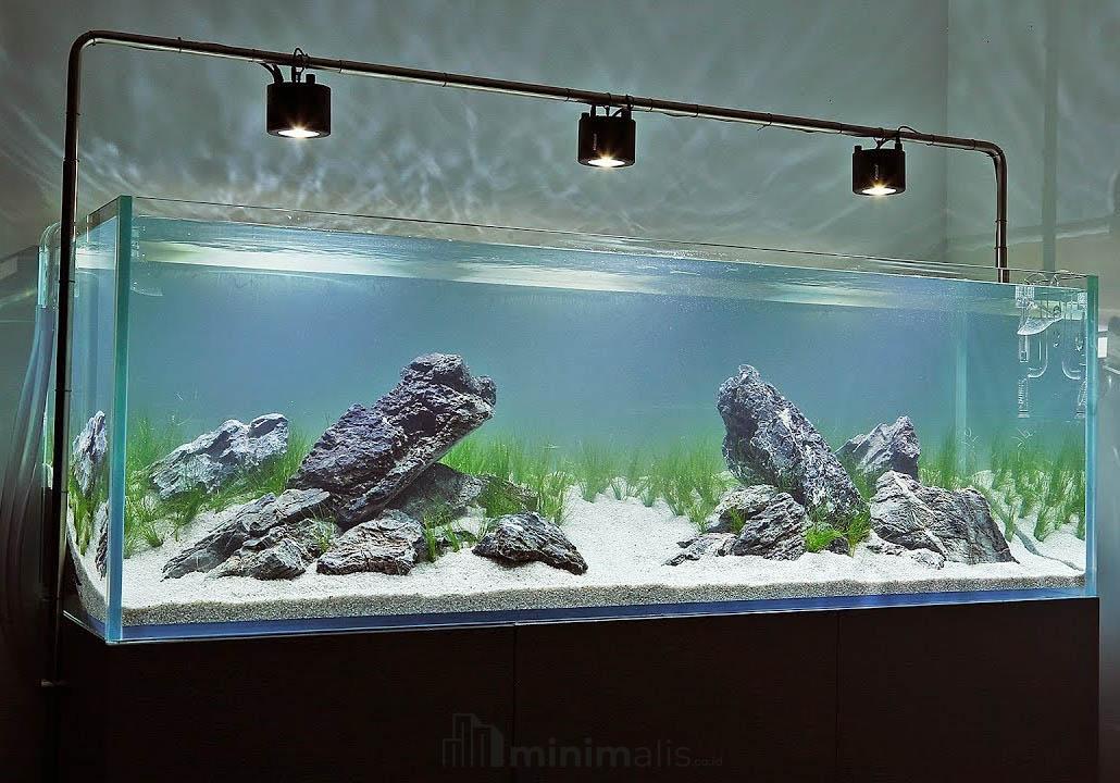 Detail Desain Aquarium Air Tawar Minimalis Nomer 36