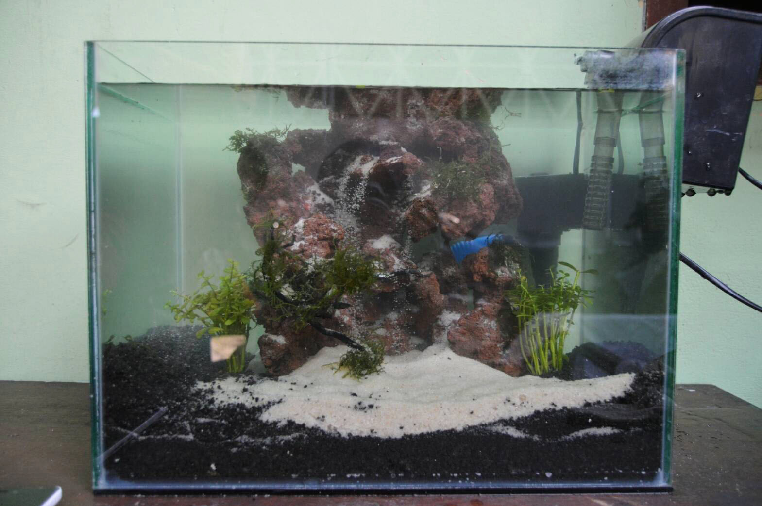 Detail Desain Aquarium Air Tawar Minimalis Nomer 39