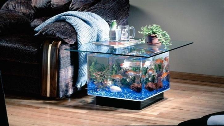 Detail Desain Aquarium Air Tawar Minimalis Nomer 53