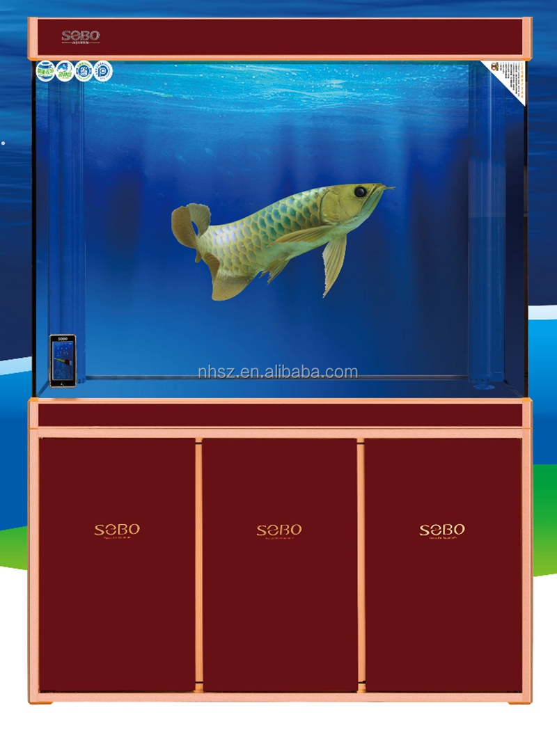 Detail Desain Aquarium Arwana Nomer 4