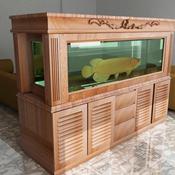 Detail Desain Aquarium Arwana Nomer 51