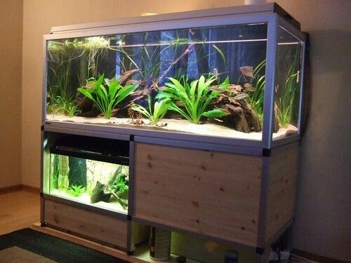 Detail Desain Aquarium Bertingkat Nomer 33