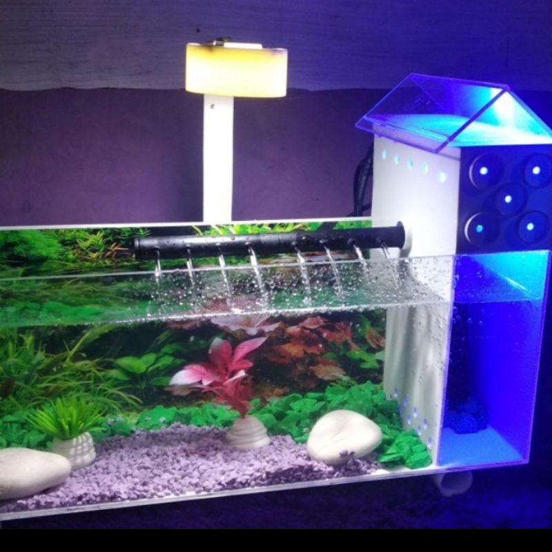 Detail Desain Aquarium Bertingkat Nomer 43